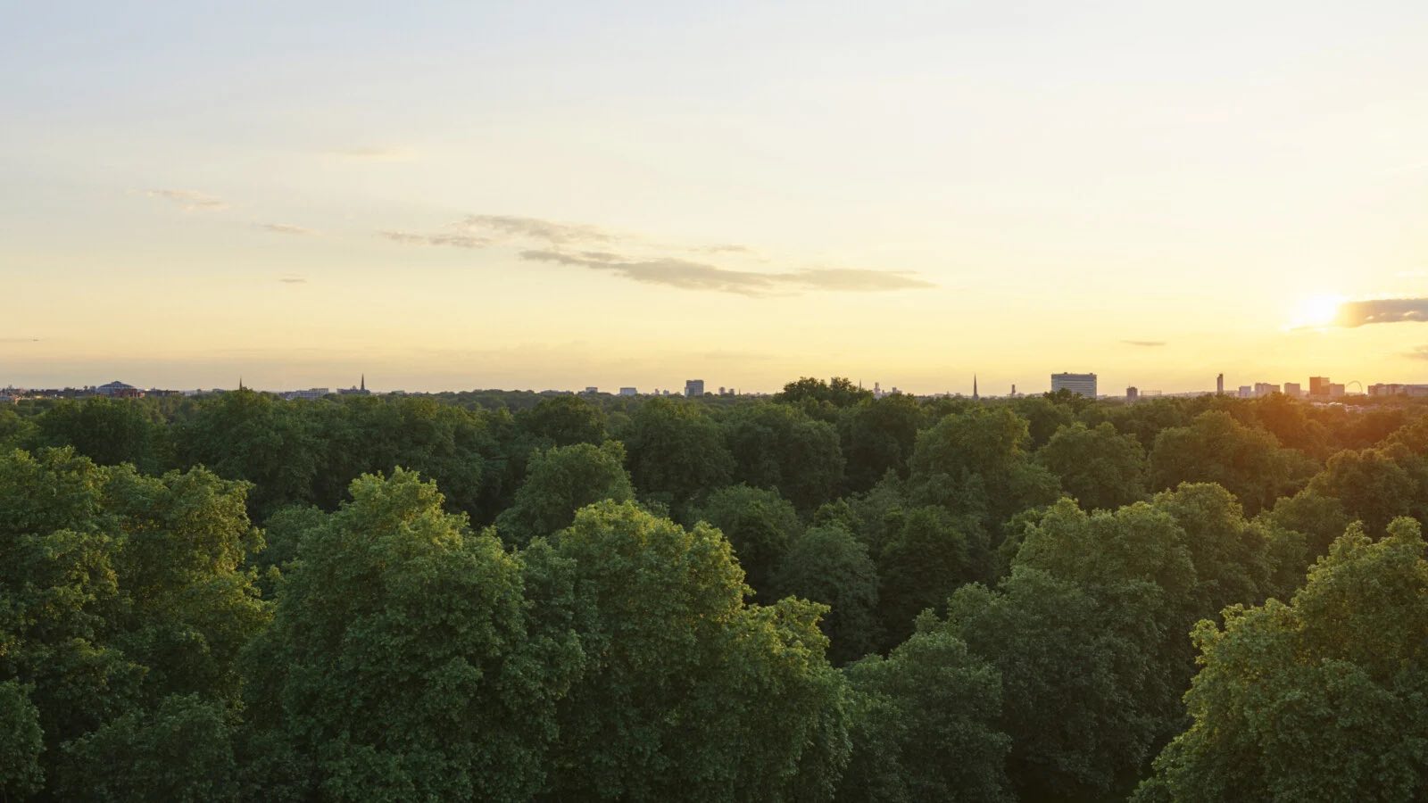 The Dorchester Rooftop