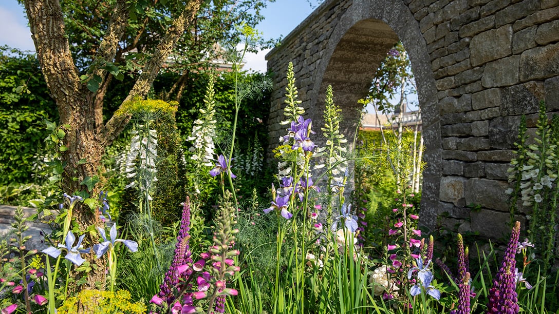 Chelsea Flower Show