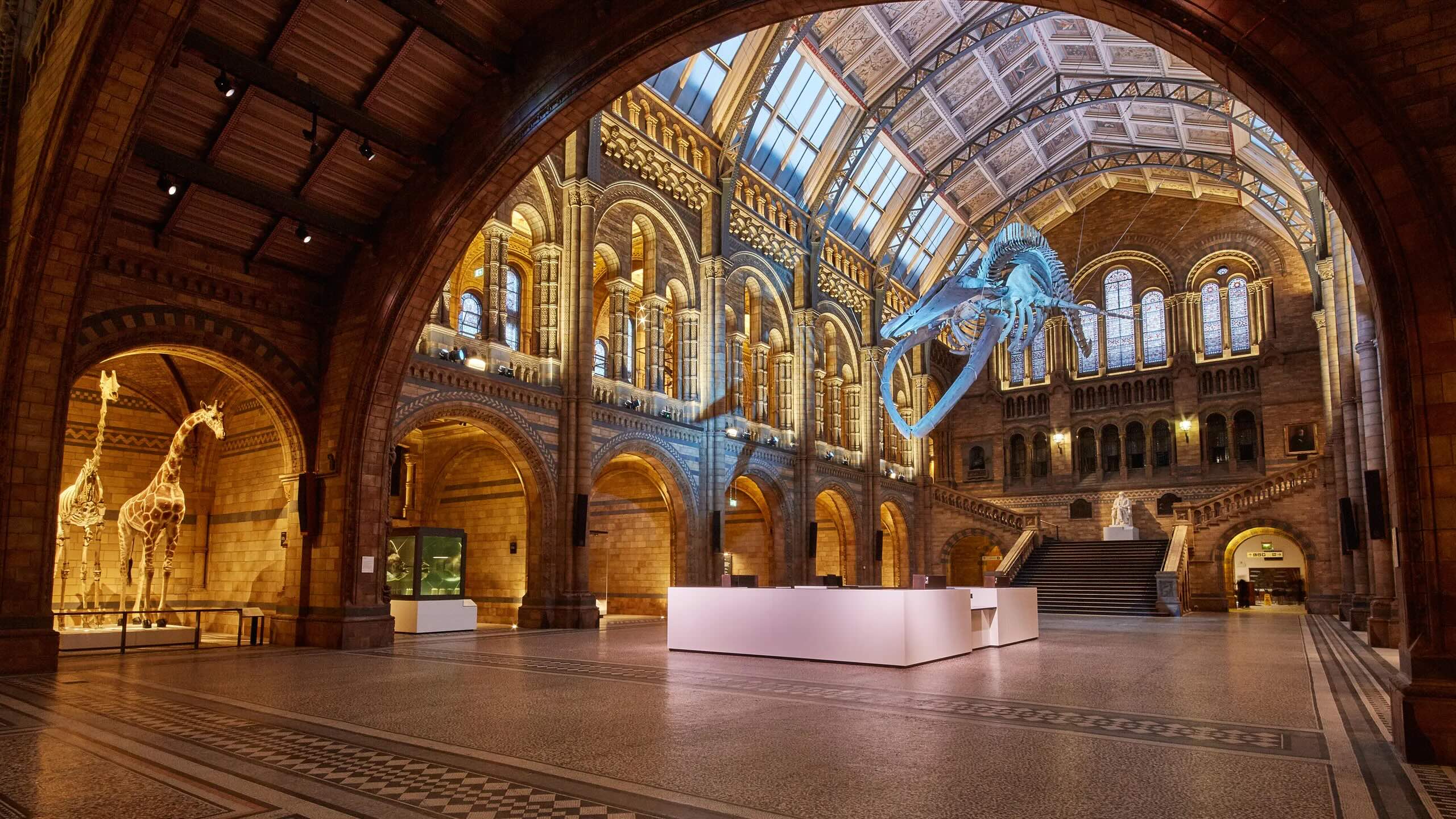 How to sleep over at the Natural History Museum