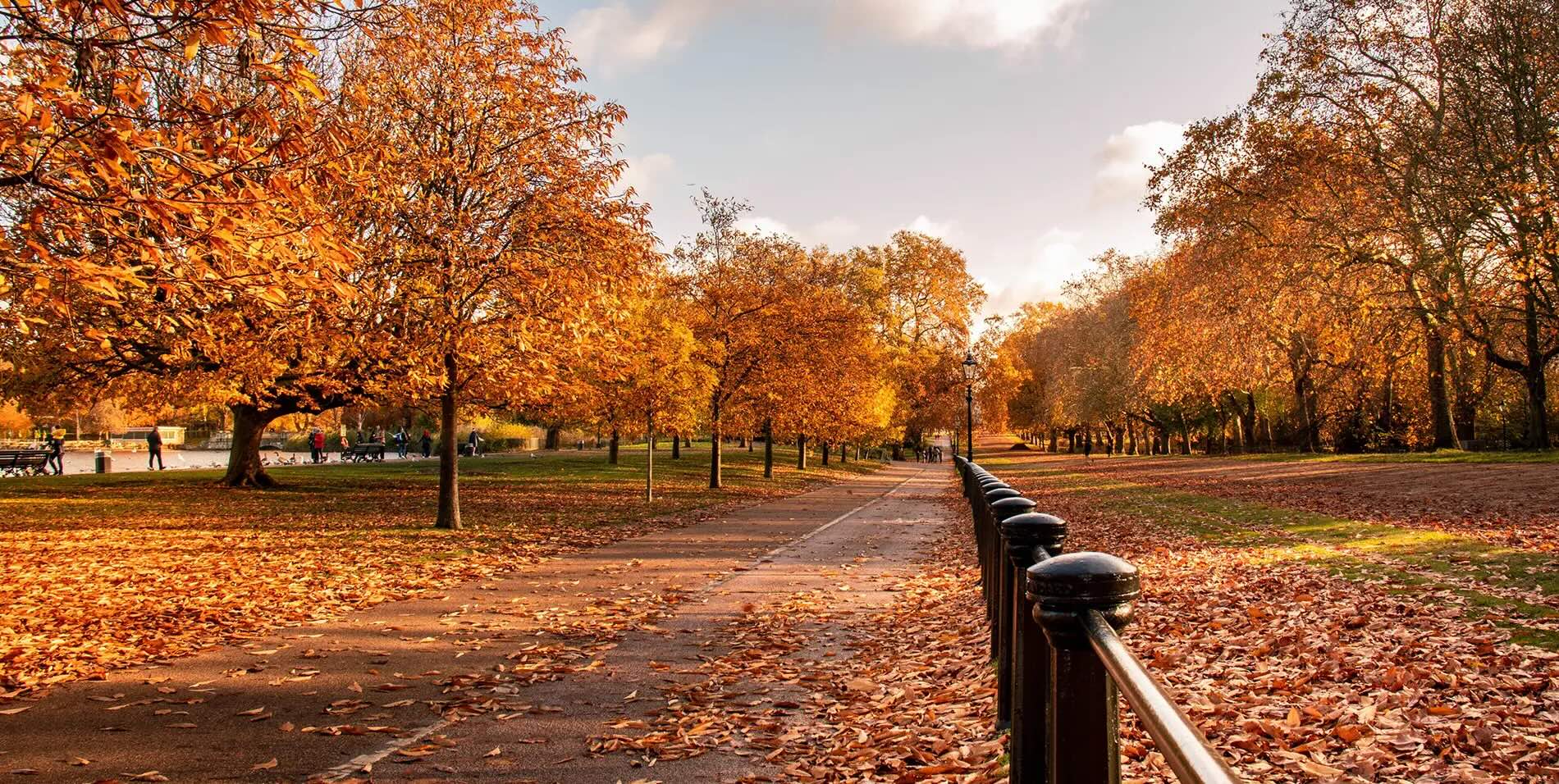 10 amazing things to do in London in the autumn