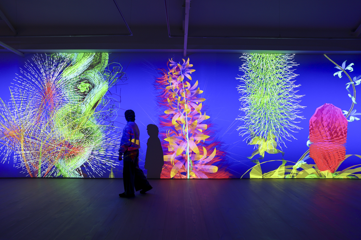 A fantastical flower exhibition opens at Saatchi Gallery 