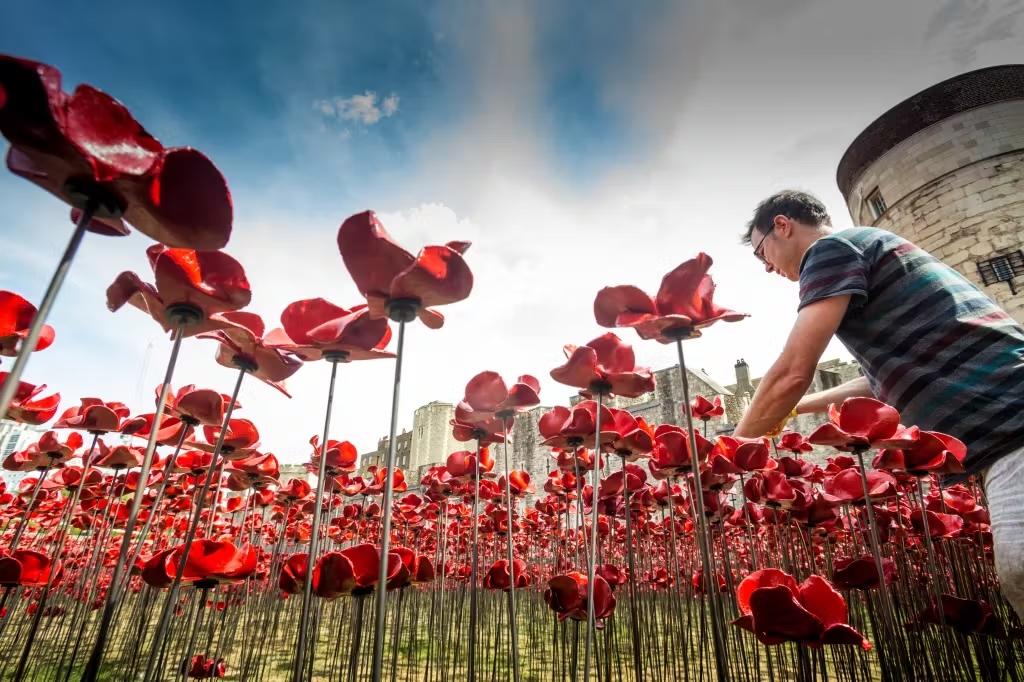 Tower of London will display 30,000 poignant poppies