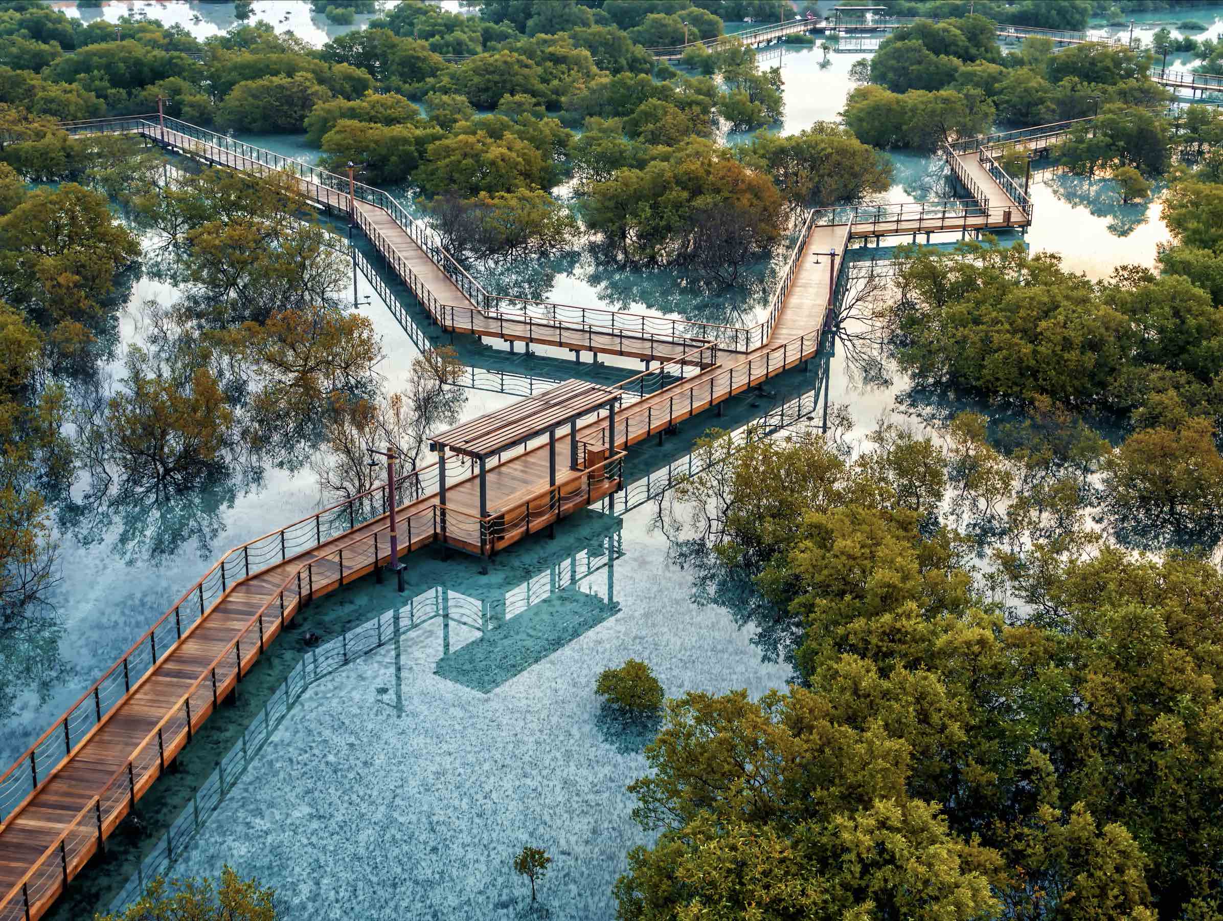 Jubail Mangrove Park Abu Dhabi