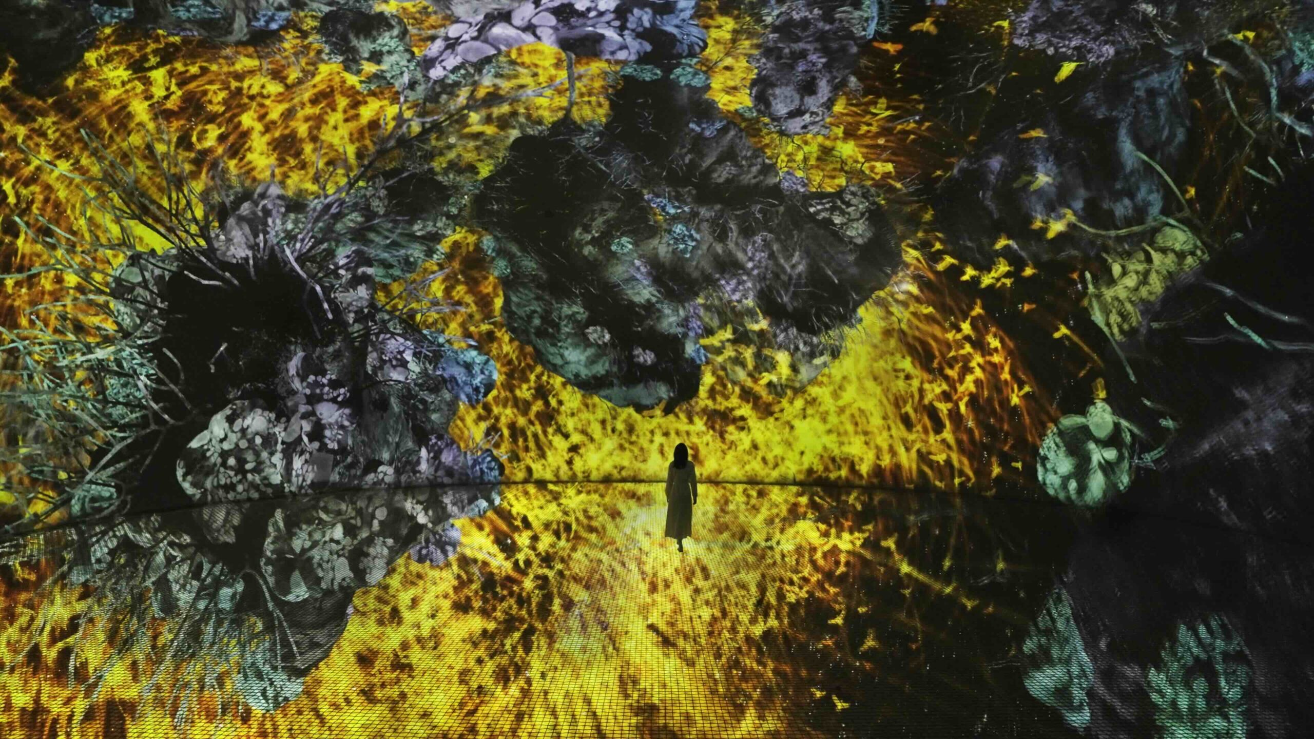 teamLab Phenomena Abu Dhabi
