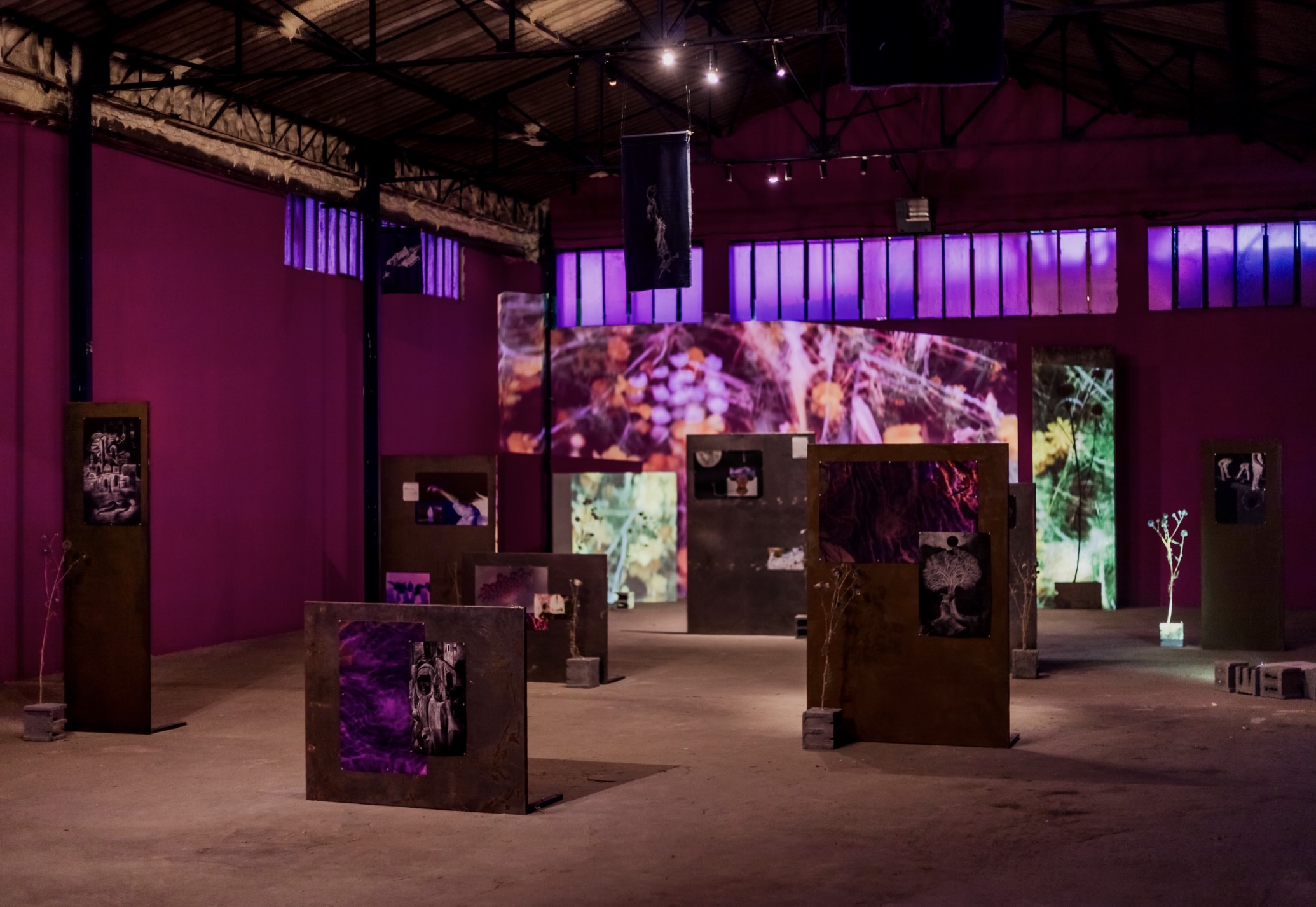 Arts and culture institution Ibraaz to open in London this autumn 