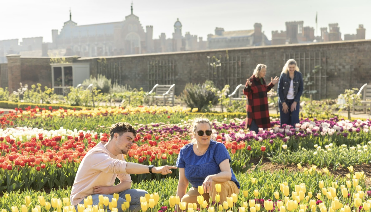 Tulip Festival Hampton Court